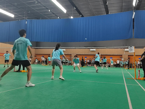 Badminton Mixed Doubles